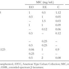 Image result for Endostemon tereticaulis