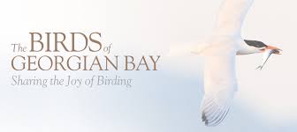 We are located in this unique area which is the center of north america. The Birds Of Georgian Bay Sharing The Joy Of Birding