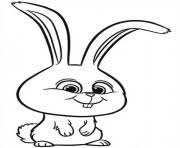 Snowball , the secret life of pets , 3d , animated , illumination entertainment , cartoon , movies , pets , american Secret Life Of Pets Coloring Pages To Print Secret Life Of Pets Printable