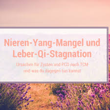 Der hohe androgenspiegel bei pcos gute ernährung und sport haben eine unterstützende wirkung. Zysten Und Pco Welche Ernahrung Hilft Nach Tcm