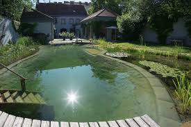 Schwimmteich In Mitten In Wien Naturschwimmbecken Schwimmteich Naturschwimmteich