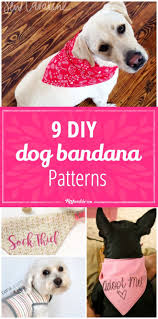 The longest edge (where it's folded) is the measurement you got from your dog's neck. Velcro Dog Bandana Cheaper Than Retail Price Buy Clothing Accessories And Lifestyle Products For Women Men