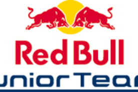 We can more easily find the images and logos you are looking for into an archive. Red Bull Junior Team