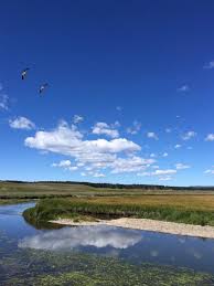 Also, you are recommended to hike in groups …. Pelican Valley Aug 2020 Yellowstone
