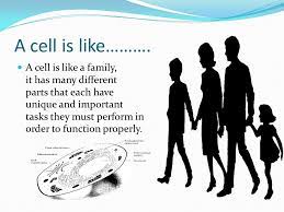 Check spelling or type a new query. Presented By Landon Bryant Cell Interior A Cell Is Like A Cell Is Like A Family It Has Many Different Parts That Each Have Unique And Important Ppt Download