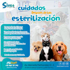 SIVET CENTRO VETERINARIO
