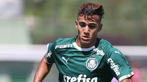 Porém, como em qualquer outra parte do corpo, irá doer. Admin Plm Pagina 20 Palmeiras