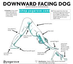 How To Practice Downward Facing Dog Pose Follow Yogarove Down Dog Is The Perfect P Yoga For Beginners Yoga For Flexibility Yoga Routine For Beginners