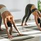 Yoga Flow Gentle event image