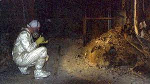 Was hat es mit dem mysteriösen schwarzen pilz mitten im reaktor des. Der Mann Der In Tschernobyl Auf Einen Elefantenfuss Traf