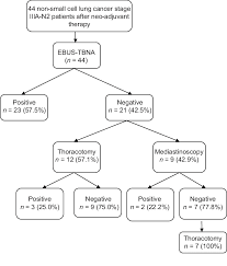 flow chart showing outcomes for patients with stage iiia n2