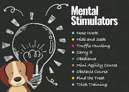 The Power Of Mental Stimulation