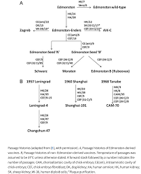 Haben sie diesen schutz nicht, sollten sie ihrer gesundheit zuliebe nicht zögern und eine auffrischung vornehmen lassen. Masern Einzelimpfstoff Nicht Nur Vom Deutschen Ethikrat Gefordert Impf Info C Dr Steffen Rabe