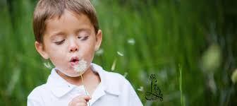 Liz Foote Photography