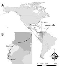 Figure Effects Of Political Instability In Venezuela On Malaria Resurgence At Ecuador Peru Border 2018 Volume 25 Number 4 April 2019 Emerging Infectious Diseases Journal Cdc