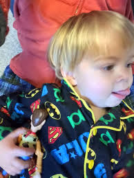 Dogs mimicking owner's bedtime toy routine habits