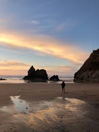 Browse 10,591 oregon coast stock photos and images available, or search for oregon or cannon beach to find more great stock photos and pictures. Best Beaches On The Oregon Coast Arcadia Beach Near Cannon Beach Hotel Near Cannon Beach Inn At Arch Cape Oregon Coast Hotels