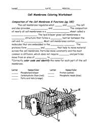 You may make coloring books of the alphabet, character, quantities, the world and places, animals or shows. Cell Membrane Fill Online Printable Fillable Blank Pdffiller