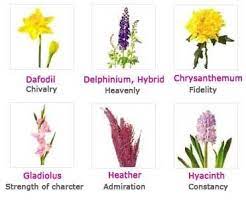 Irish Flowers And Their Meanings Flowers And Their Meaningscottages Gardens Floral Fantasy Favourite Flower Meanings Trendy Flowers Irish Flower
