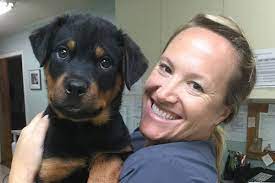 Hours may change under current circumstances About Academy Animal Hospital Solana Beach Ca Veterinary Hospital