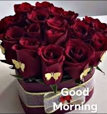Good Morning Flower Images Download For Whatsapp Best Good Morning Flowers Images Beautiful Good Good Morning Flowers Good Morning Msg Good Morning Roses