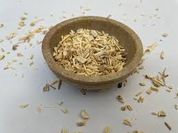 Image result for Asparagus racemosus