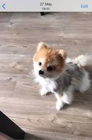 Dermagic Aus Beautiful Pom Beats Black Skin Disease My Facebook