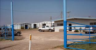 Maybe you would like to learn more about one of these? South Plains Veterinary Clinic 1914 N Hwy 84 Slaton Reviews And Appointments Topvet
