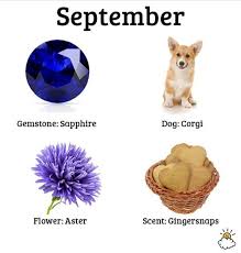 Your Birth Month Reveals Fascinating Secrets About Your Personality Birth Animal Month Animals Birth Month Personality