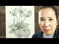 Drawing cyclamen with pencil (in 3 minutes)