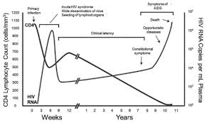 Human Immunodeficiency Virus Hiv Screening And Testing