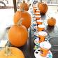 Pumpkin Painting & Cocktail Sipping Night on the Farm
