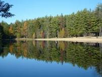 Trees of the American Revolution Walk