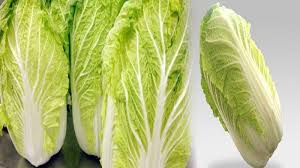 Mewarnai gambar buah dan sayur mewarnai gambar sketsa sayuran, sawi hijau, sawi, sayuran sawi, mewarnai sawi, mewarnai sayuran, sketsa sawi, sketsa sawi hijau, gambar sawi. Sawi Putih Ternyata Miliki Manfaat Luar Biasa Untuk Tubuh Jangan Sepelekan Tribun Pontianak