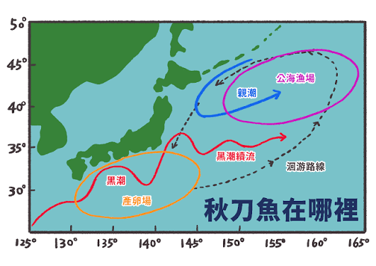 溪和水產_秋刀魚