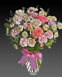 We did not find results for: Cotton Candy By Ec Florist