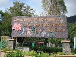 We did not find results for: Taman Rimba Teluk Bahang Recreational Forest Penang Travelmalaysia