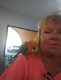 Pet Sitters of Naples