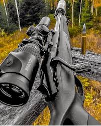 Askeri Silah Panosundaki Pin