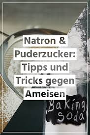 Hilft Natron Und Puderzucker Als Hausmittel Wirklich Gegen Ameisen In 2020 Was Hilft Gegen Ameisen Ameisen Mittel Gegen Ameisen
