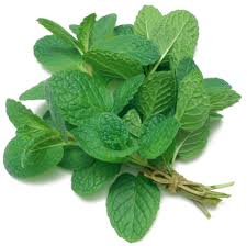 Tarragon can be used in many french dishes also. Substitute For Basil Cooknovel Com