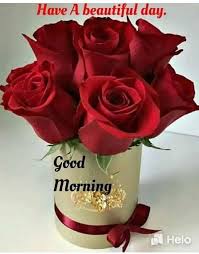 Good Morning Greetings Good Morning Roses Good Morning Greetings Good Morning Cards