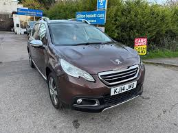 Image result for Brown Squirrel 2014 Peugeot