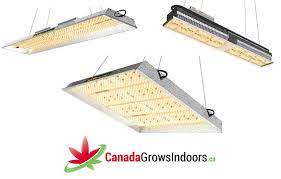 Maybe you would like to learn more about one of these? Mars Hydro Ts And Sp Series White Led Grow Light Review 2021