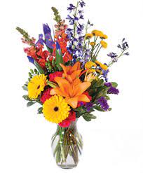 Visit your local rapid city petsmart store for essential pet supplies like food, treats and more from top brands. Get Well Flowers From Flowers By Leroy Local Rapid City Sd Flori