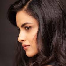 Rohit Parshuram Actor