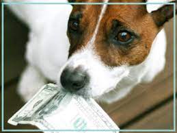 Or explore low income housing assistance, including emergency rent payments. Massachusetts Animal Fund Mass Gov