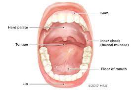 When person or persons suffers from mouth cancer, the cancer may be affecting any part of their mouth. Mouth Cancer Memorial Sloan Kettering Cancer Center