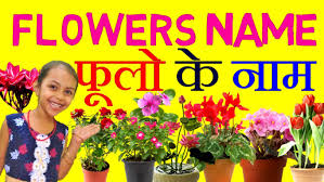Check spelling or type a new query. Flowersname Explore Facebook