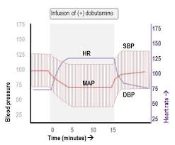 Image result for Dobutamine